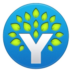 YNAB