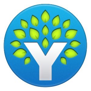 YNAB